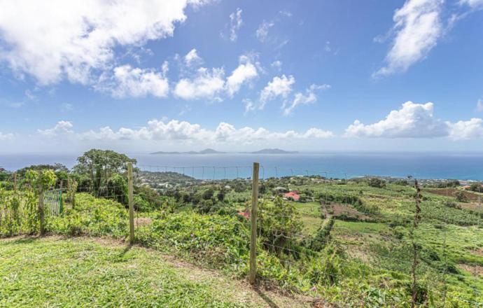 Вилла L'Ilot Fruits Guadeloupe Труа-Ривьер Экстерьер фото