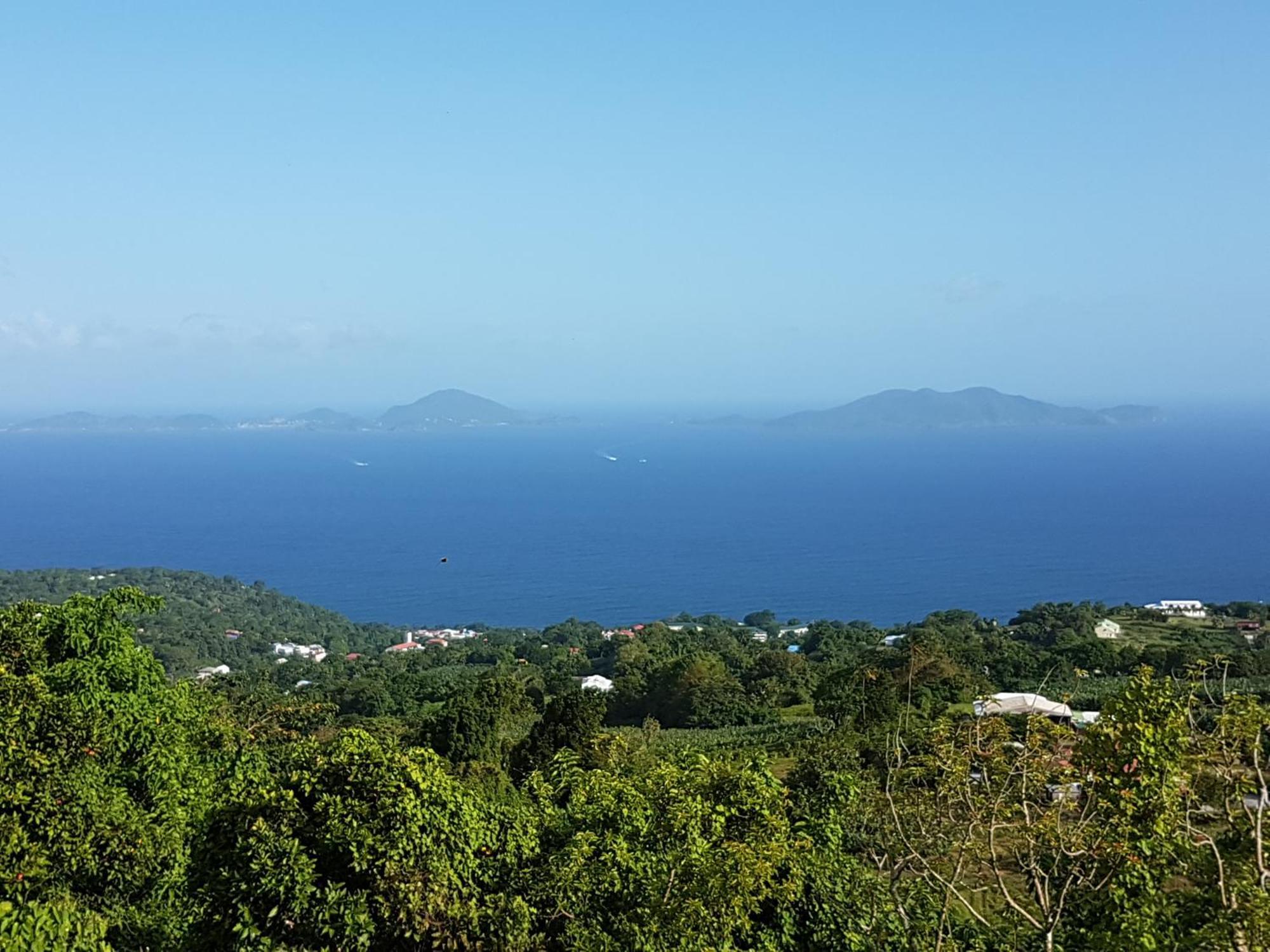 Вилла L'Ilot Fruits Guadeloupe Труа-Ривьер Экстерьер фото
